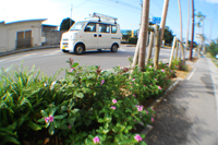 レンズオンレンズという画期的な手法で写してみた
