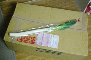 いろいろ届いた