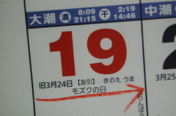 今週の予定