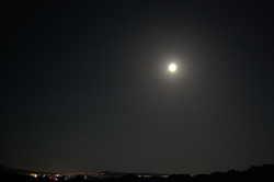今夜も月が綺麗だね