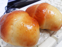 昨日のくえぶー