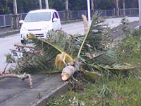 無事です