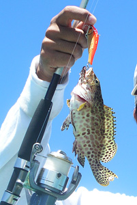 面白いの釣っちゃったかも