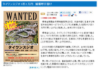 そうだ、スジオを捕まえに行こう!