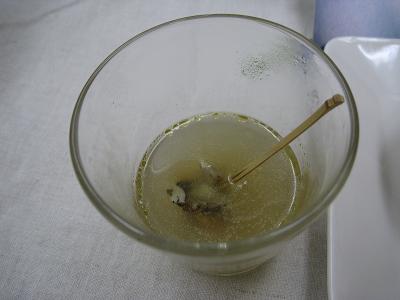 タカセ貝のスープ