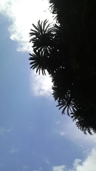 青空