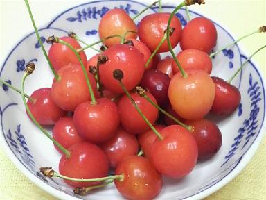 さくらんぼ