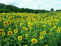 2009年05月14日