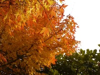 2011年12月30日