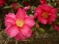 2011年12月30日