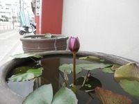 2012年01月14日