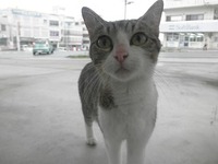 2012年04月25日