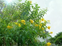 ☆明日も笑顔でね・・・☆ 2008/06/26 19:11:51