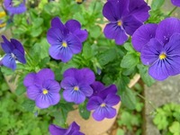 ☆新しい道を・・・☆ 2008/04/01 09:47:42