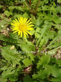 ☆my birthday♪☆ 2008/03/12 00:24:41
