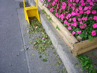 ブログで公開質問２ 2008/04/23 11:45:54