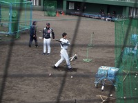 どあら