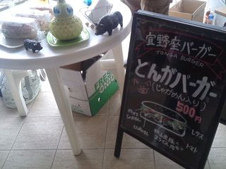 GiNOZAライフ