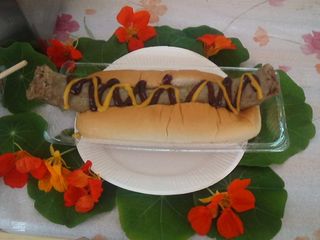 タイガーフランク