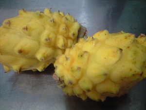 黄色のドラゴンフルーツはとっても美味しいですヽ(^o^)丿