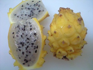 黄色のドラゴンフルーツはとっても美味しいですヽ(^o^)丿