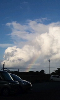 。:* Rainbow *:。