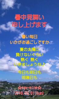 。:* 夏見舞い *:。