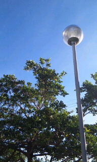。:* スカッと青空 *:。