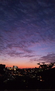 。:* 2010年 *:。
