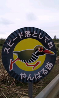 。:* 大みそか *:。