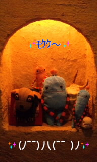 。:* にゃふ~ *:。