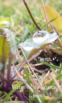 。:* March *:。