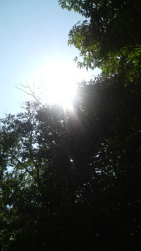 太陽