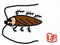 死ぬかと思った。 2008/06/27 00:56:59