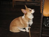 検査疲れ。 2008/06/20 13:44:38