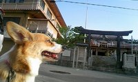 誰かの幸せの小さなきっかけになりたい。 2008/05/20 01:05:54