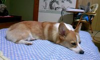 手、繋いでますか。 2008/05/21 01:45:11