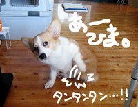 では つむぎさん、そろそろ…。 2008/05/25 22:04:57
