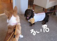 たくさんの、ありがとう。 2008/06/07 01:07:01
