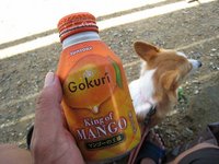 海行っただす。 2008/06/11 17:35:00