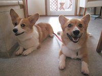 いつか会う、ともだち。 2008/06/14 00:19:06