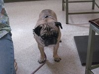 ご飯が美味しいです。 2008/06/23 23:49:55