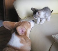 身内。 2008/06/24 23:23:27