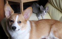 言葉に込められた想い。 2008/06/25 20:54:01