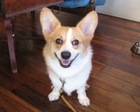 一緒に歩いてくれるか。 2008/06/26 16:35:44