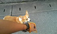 おはよう＆行ってきます！ 2008/06/26 07:50:34