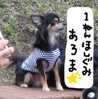 べちこ学園。 2008/06/27 14:38:26
