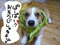 はじめまして。です。 2008/06/28 00:06:52