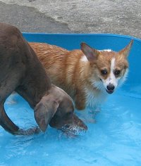 ありがとう、友達。 2008/06/30 23:05:46