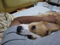 目の高さ。 2008/07/02 00:58:42